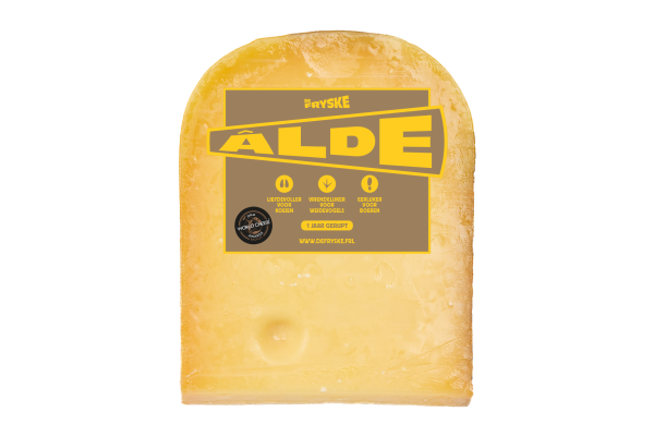 Ser Gouda Alde Fryske 12m Holandia